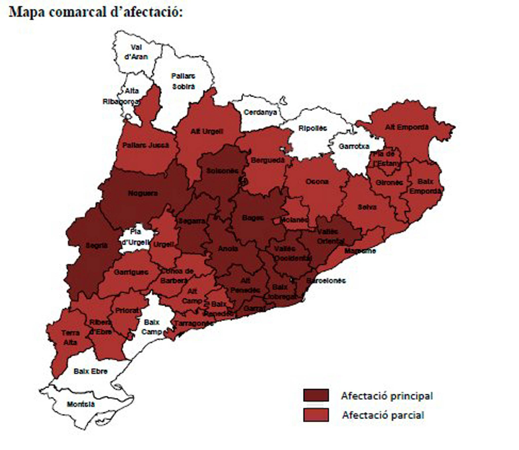 La pitjor setmana de perill d'incendi dels últims 18 anys