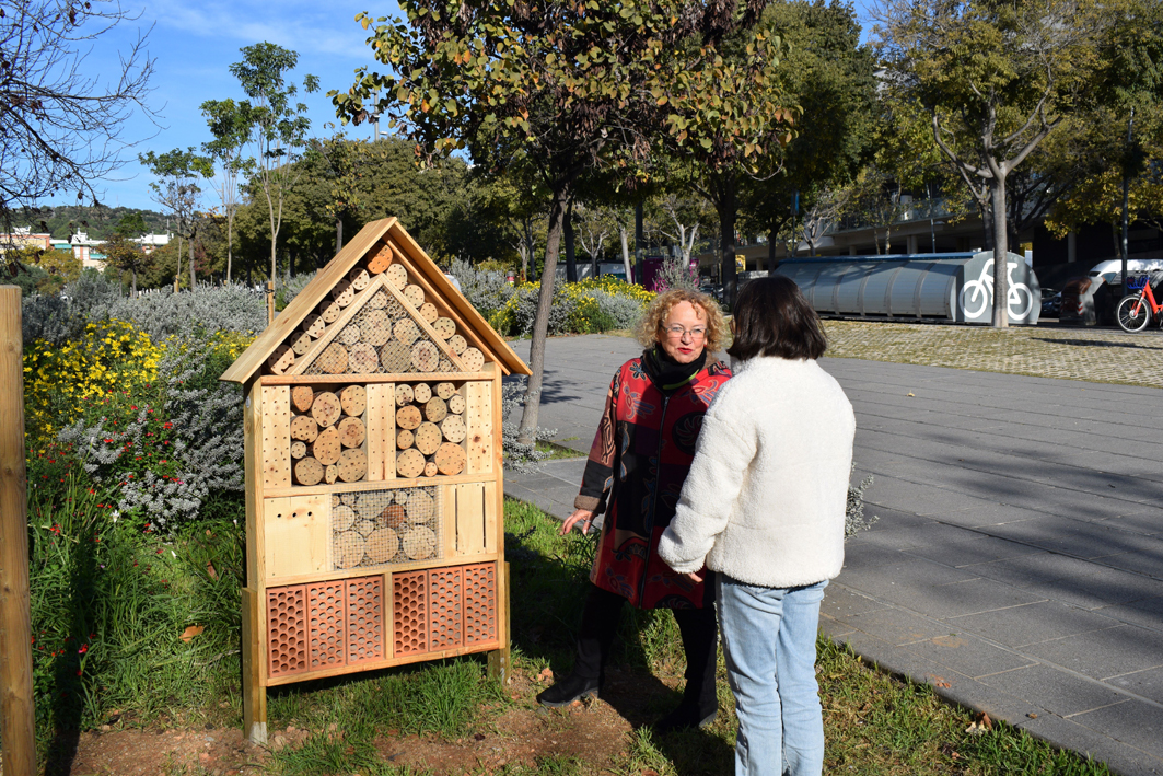 Estrenen hotels d’insectes per oferir refugi a abelles i vespes solitàries, marietes, papallones i altres petits pol·linitzadors