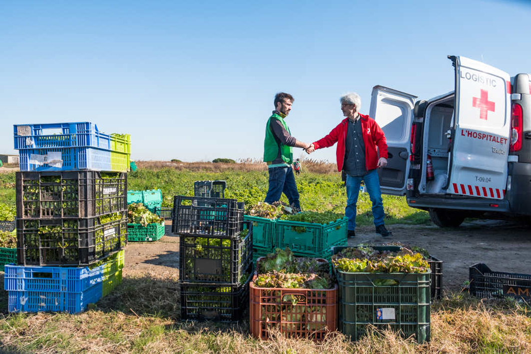 Espigoladors: vida a la producció agrícola