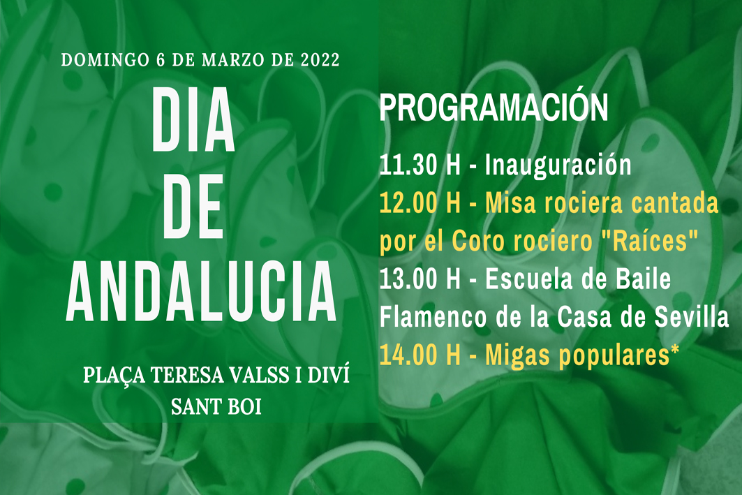 EL DIA DE ANDALUCÍA DE NUEVO EN LA CALLE