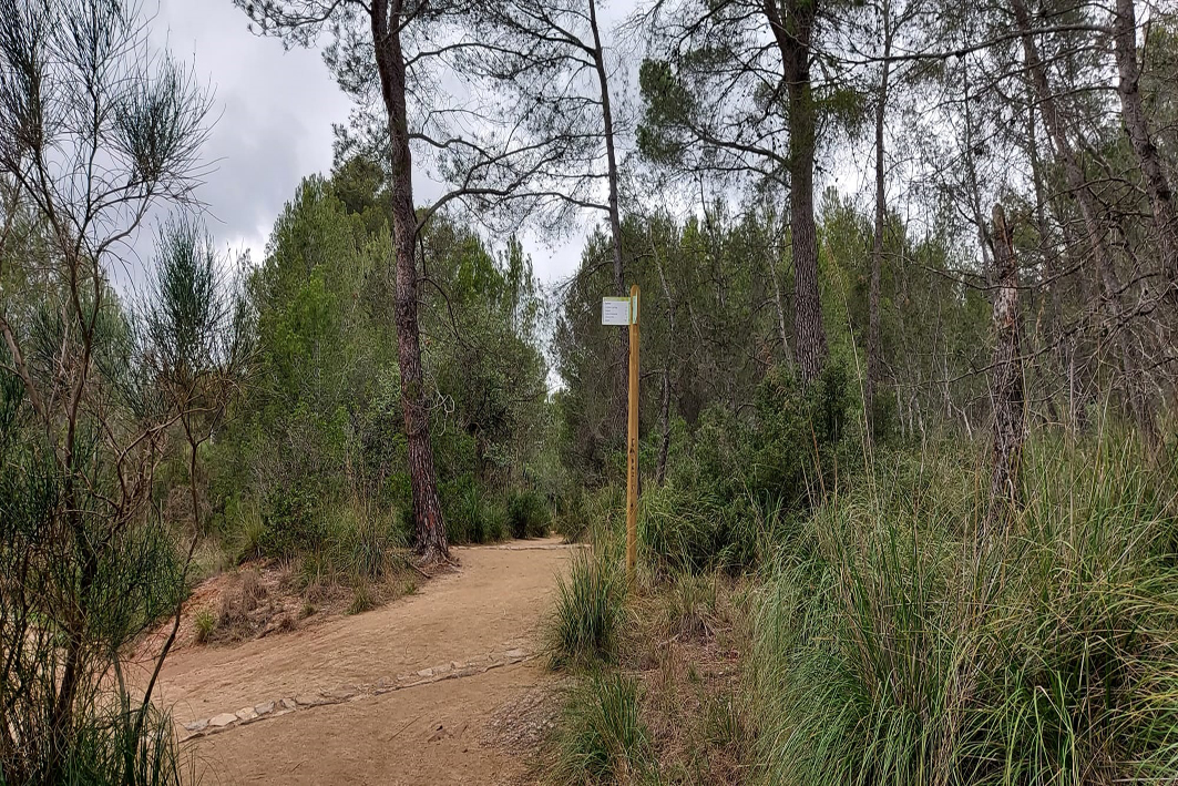 Descoberta  dels paisatges de Gavà a peu o en bici 