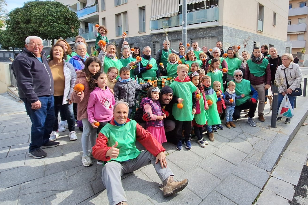 La primera espigolada de tarongers urbans recull més d’un miler de quilograms de fruita per fer melmelada