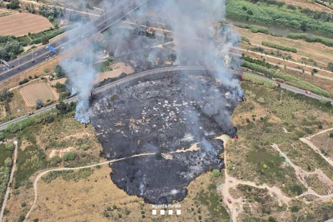 Els Mossos d’Esquadra i Agents Rurals detenen l’autor de tres incendis forestals al Prat de Llobregat