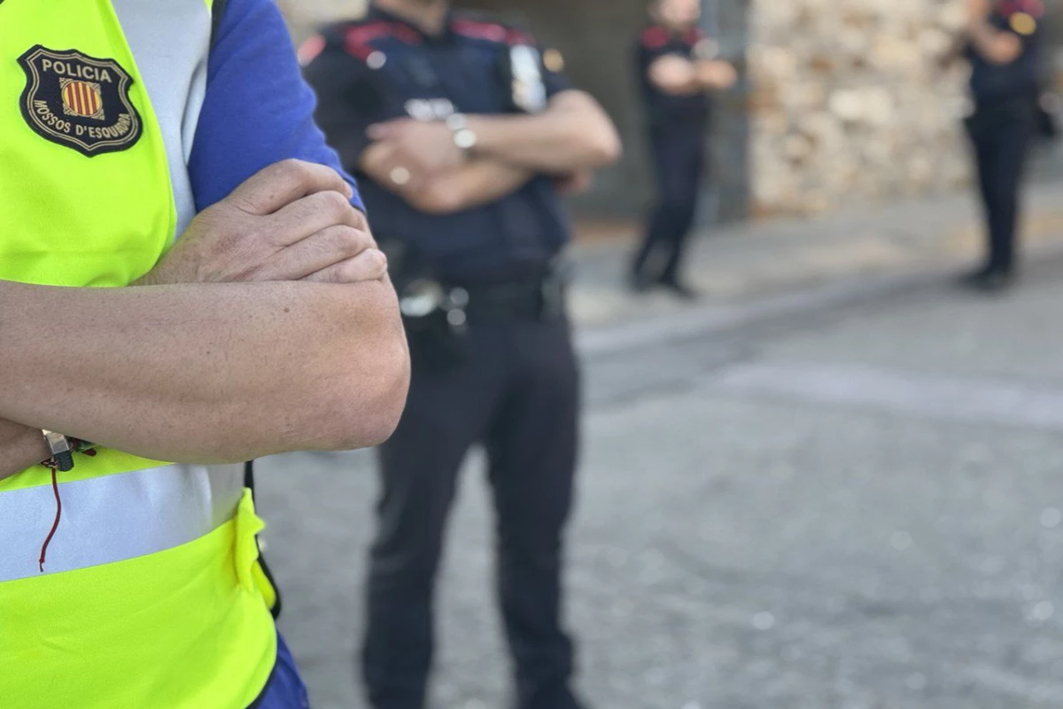 Desmantellen una plantació de marihuana en un domicili a Viladecans
