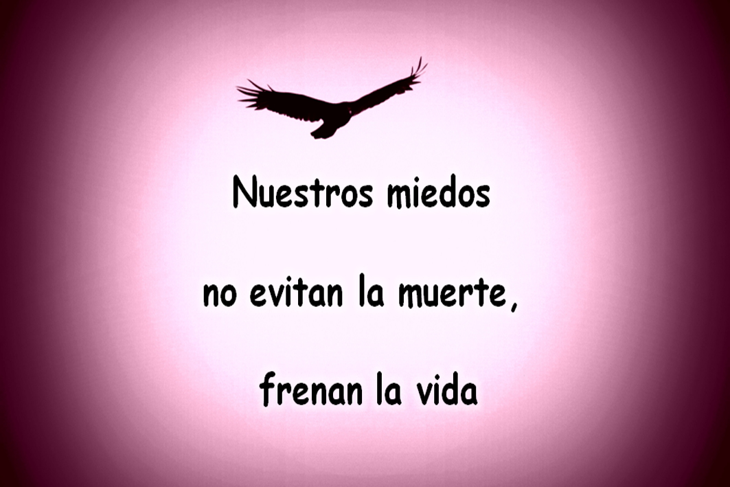 VIVIR SIN MIEDO