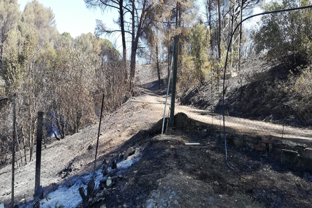 Detingut com a presumpte responsable de l'incendi forestal