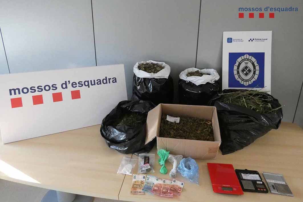 Desmantellen una plantació de marihuana indoor