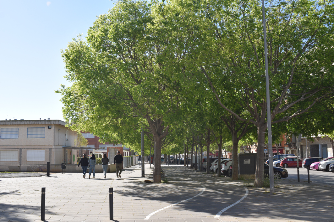Viladecans llança el programa Viu Verd per renaturalitzar la ciutat seguint la regla 3-30-300