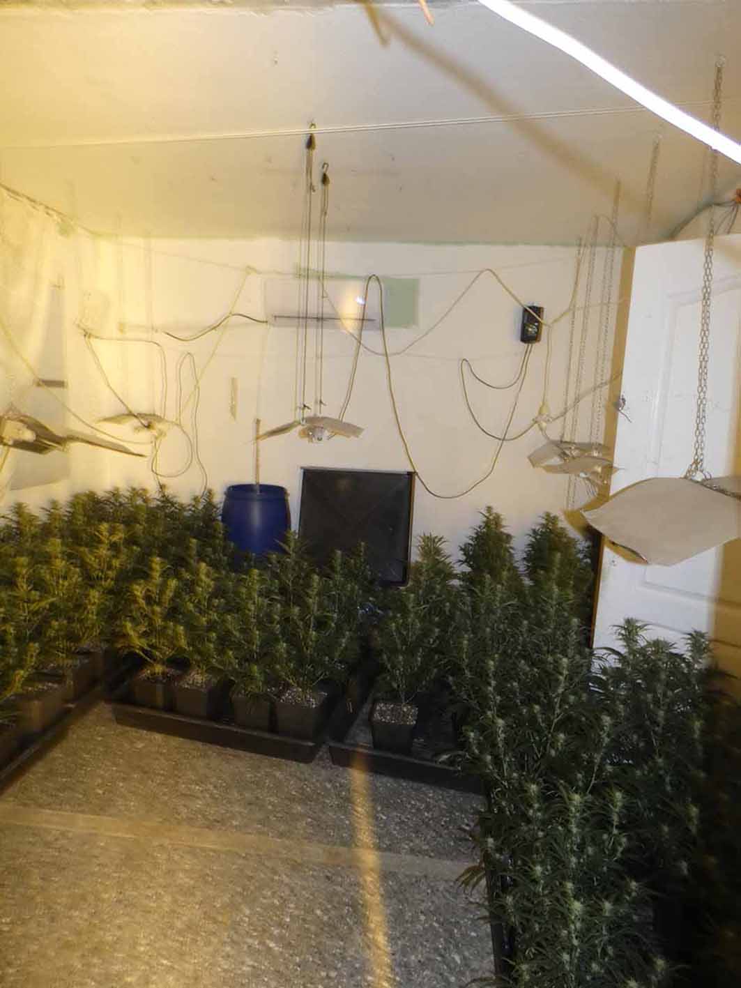 Desmantellen dues plantacions de marihuana indoor en pisos