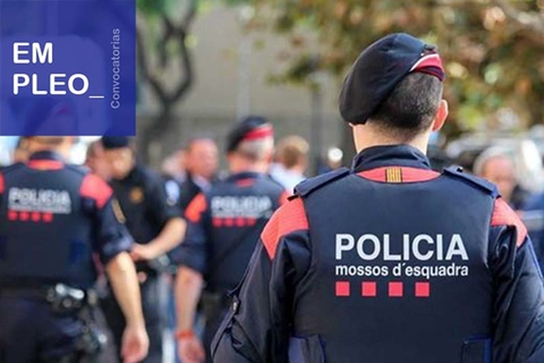 Desarticulat a Barcelona un entramat criminal dedicat al cultiu i tràfic de marihuana