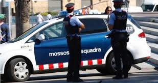 Desarticulat a Barcelona un entramat criminal dedicat al cultiu i tràfic de marihuana