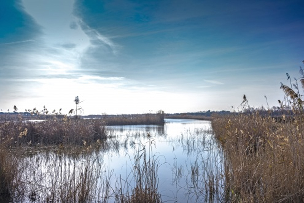 Revertir els dèficits de protecció del delta