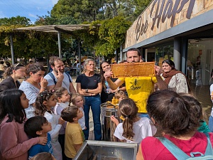 Viladecans celebrarà diumenge la Festa de la Mel a la Casa de les Abelles