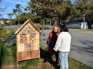 Estrenen hotels d’insectes per oferir refugi a abelles i vespes solitàries, marietes, papallones i altres petits pol·linitzadors